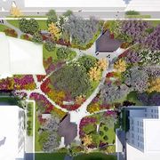 園冶杯專業獎:合肥市肥西濱河公園景觀綠化工程設計