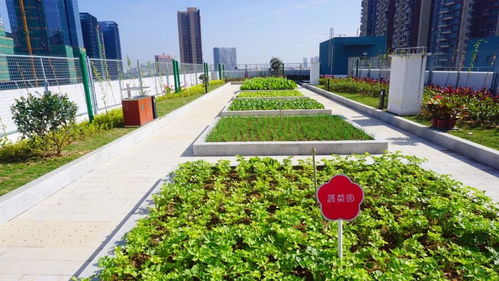 分享 生態理念融入園林設計與施工的措施探討