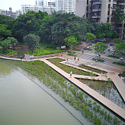 安徽省霍邱縣水門塘公園景觀工程設(shè)計(jì)