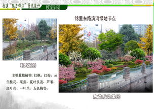 濱河路綠化效果圖