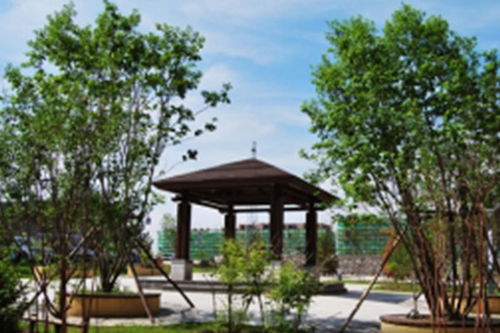 別墅庭院景觀 雙鴨山別墅庭院景觀施工圖 博藝園林集團