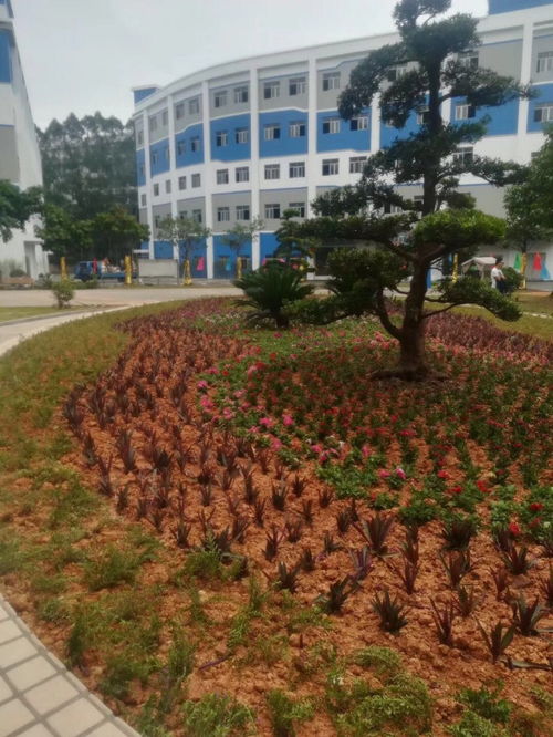 圖 園林鮮花綠化景觀,工廠綠化工程,辦公室綠植 深圳鮮花綠植