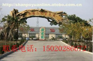 齊全,價格,廠家,供應(yīng)商,水泥及制品,單縣山坡園林景觀工程部 熱賣促銷 阿土伯網(wǎng)