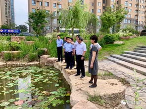 王昊市長調研園林綠化重點工程