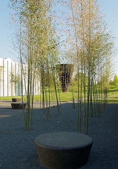 產業園、工廠