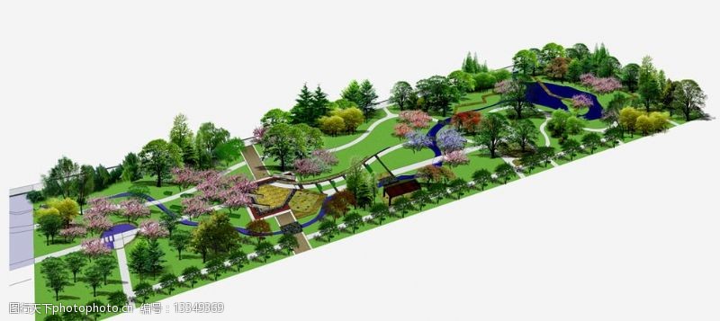 公園植物景觀圖片素材
