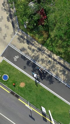 鳳凰綠道 城脈蔓延│東明大道景觀提升工程設計